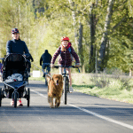 bike to school day 2024 299